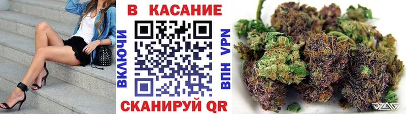 Где купить Кашин ГАШИШ  Alpha PVP  Мефедрон  Каннабис 