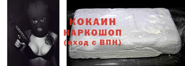 стаф Бородино