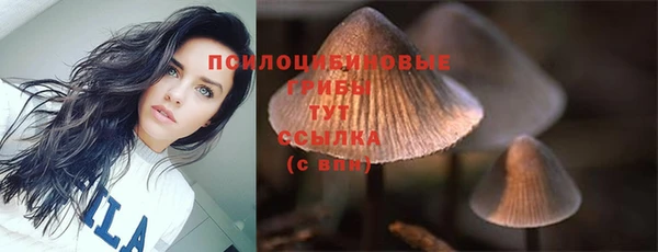 винт Бронницы