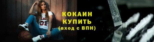 стаф Бородино