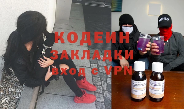 стаф Бородино