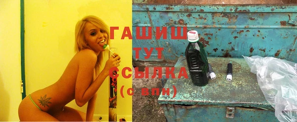 стаф Бородино