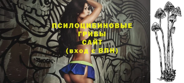 стаф Бородино