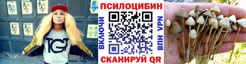Псилоцибиновые грибы Cubensis  где найти   Кашин 