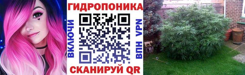 МАРИХУАНА гибрид  где найти наркотики  Кашин 